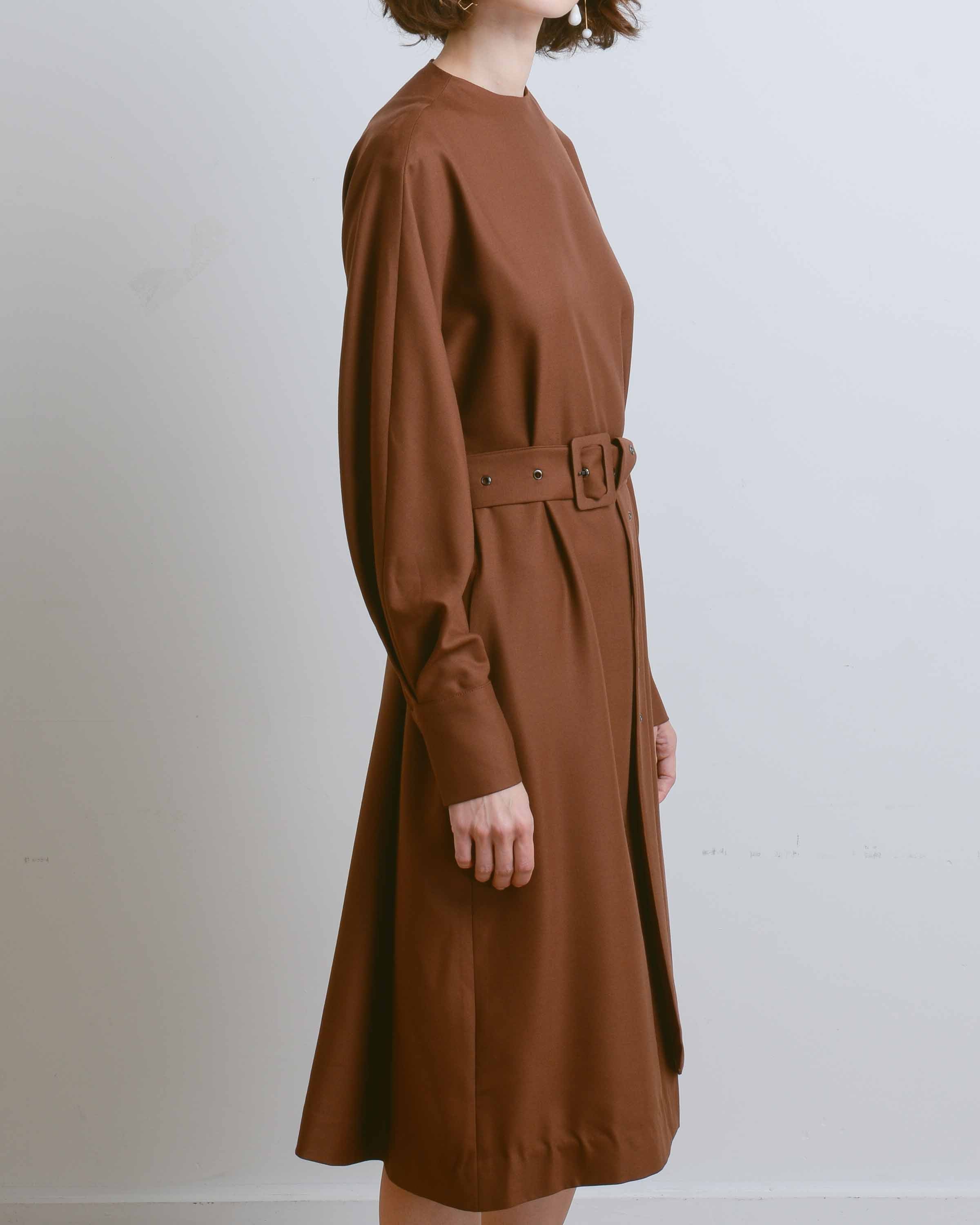 Brown Belt Dress